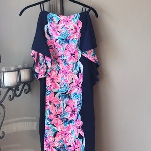 Gorgeous dress NWT